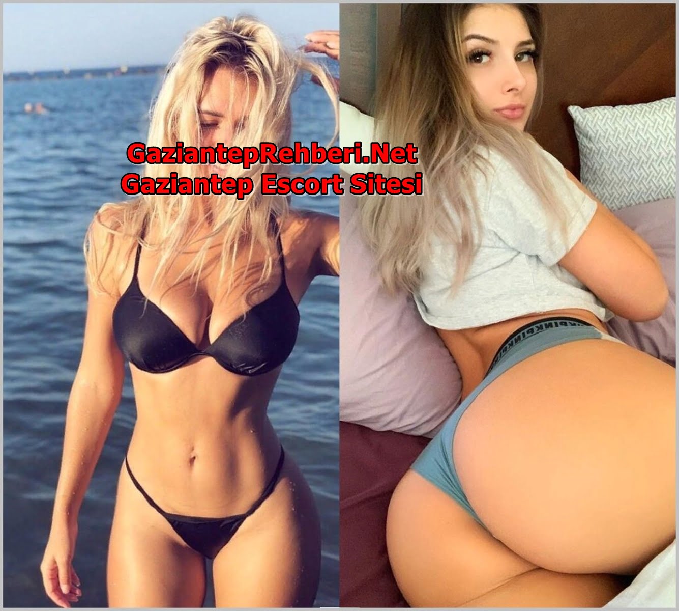 Profesyonel Anal Seks Yapan Kadınlar