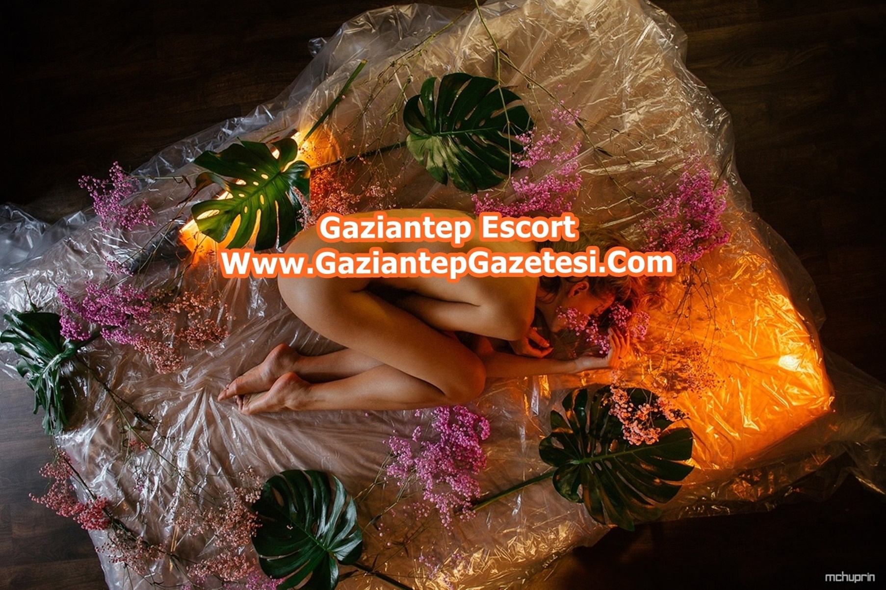 Kilis Escort | Gaziantep Escort Bayan Kilis Escort
