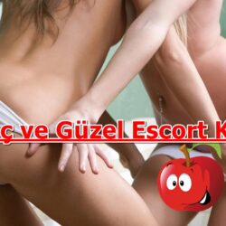 gaziantep-escort-elit-kizlar | Gaziantep Escort Bayan Gaziantep Escort Elit Kızlar