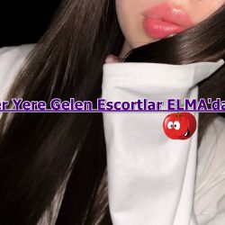 Arabada Veren Gaziantep Escort