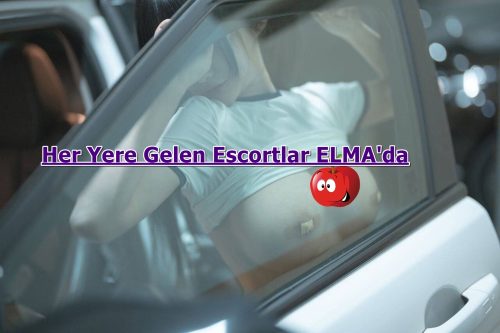 Cadde Boyunda Arabaya Atacağın Escort Kızlar